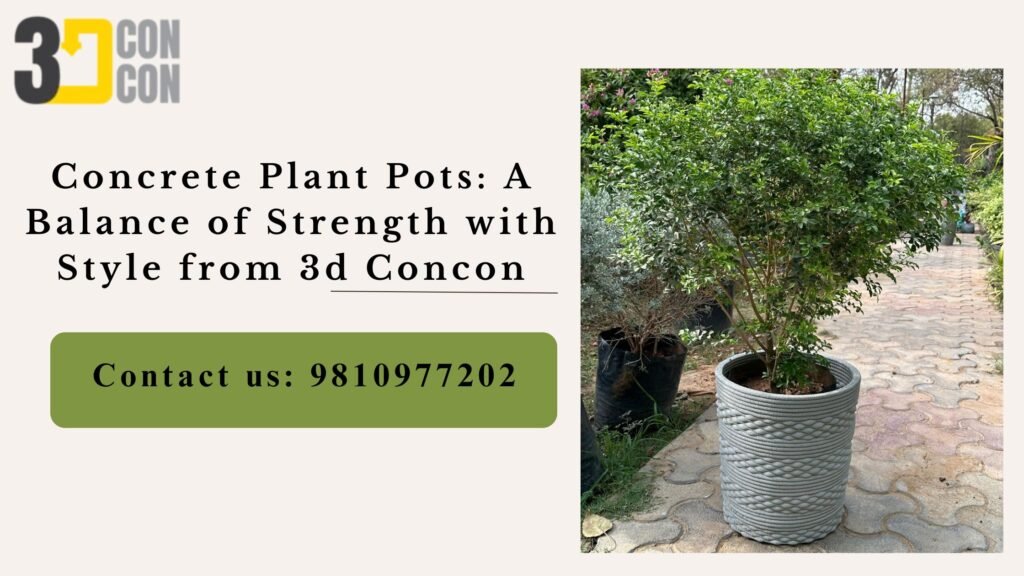 Concrete Plant Pots